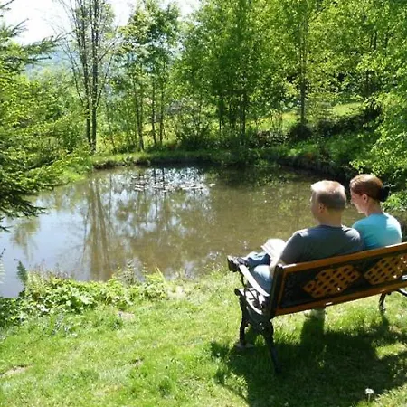 Hotel Gastehaus Falkenau Urlaub Mit Hund